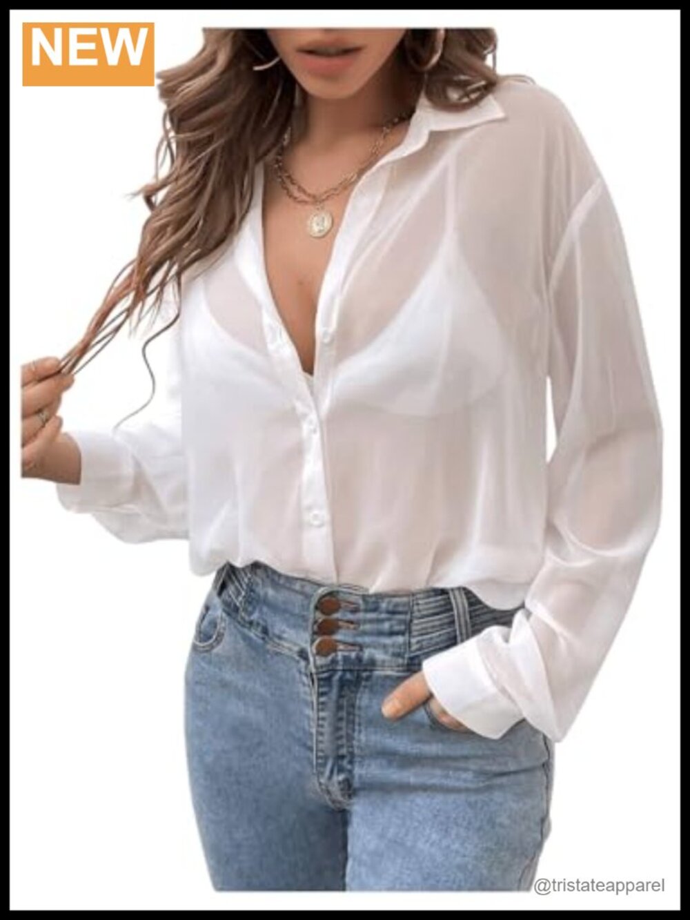Sheer Button Down Blouse Long Sleeve Lapel Collar Tie Front Womens Fall Top